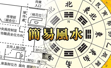 魚骨仙人掌風水|MASTERSO.COM 蘇民峰命理風水網站